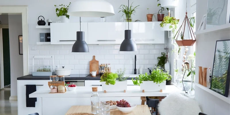 su-dung-cay-xanh-de-lam-diem-nhat